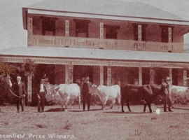 Leconfield House (Wyndhams with cattle)_crop